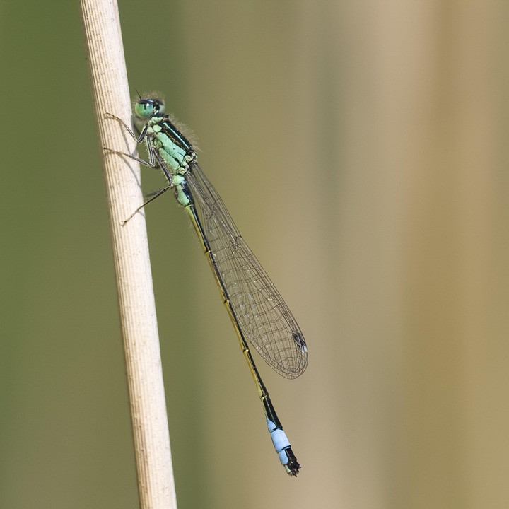 взрослый отдых